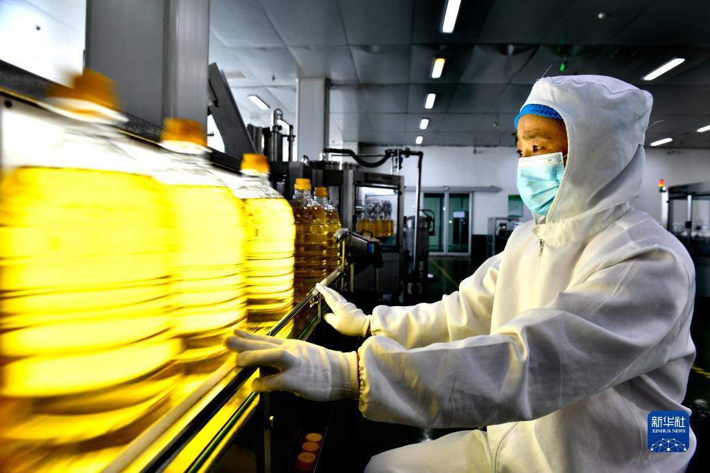 九州天下现金手机登录